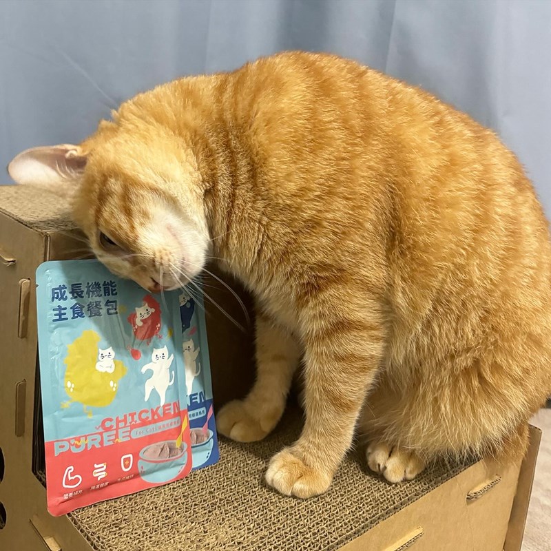 試用